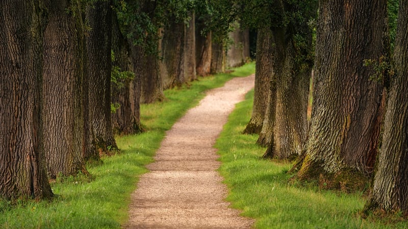 Mindful Hiking Trails